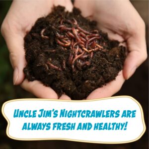 Uncle Jim's Worm Farm European Nightcrawlers Composting and Fishing Worms 2 Lb Pack