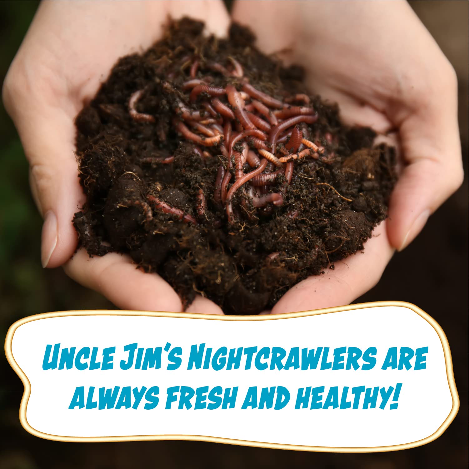 Uncle Jim's Worm Farm European Nightcrawlers Composting and Fishing Worms 2 Lb Pack