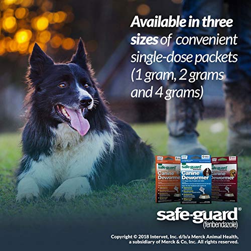 Safe-Guard (fenbendazole) Canine Dewormer for Dogs, 1gm pouch (ea. pouch treats 10lbs.)