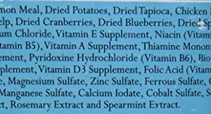 Addiction Salmon Bleu - Dry Cat Food - Complete and Balanced Diet - Skin and Coat Health Dog Formula - Features Premium King Salmon - 4 pounds