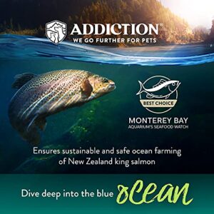 Addiction Salmon Bleu - Dry Cat Food - Complete and Balanced Diet - Skin and Coat Health Dog Formula - Features Premium King Salmon - 4 pounds