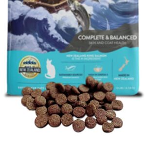 Addiction Salmon Bleu - Dry Cat Food - Complete and Balanced Diet - Skin and Coat Health Dog Formula - Features Premium King Salmon - 4 pounds