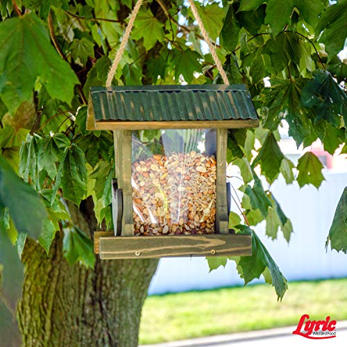 Lyric Delite Wild Bird Seed - No Waste Bird Food Mix with Shell-Free Nuts & Seeds - Attracts Buntings, Chickadees & Finches - 5 lb bag