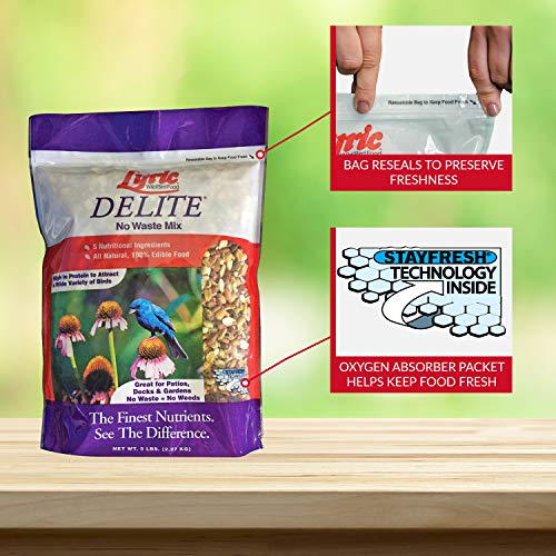 Lyric Delite Wild Bird Seed - No Waste Bird Food Mix with Shell-Free Nuts & Seeds - Attracts Buntings, Chickadees & Finches - 5 lb bag