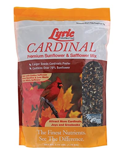 LYRIC CARDINAL 3.75# BAG