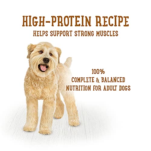 Purina Beneful High Protein Wet Dog Food With Gravy, Prepared Meals Chicken Stew - (8) 10 oz. Tubs