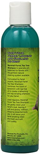 Marshall 8-Ounce Small Animal Tea Tree Shampoo