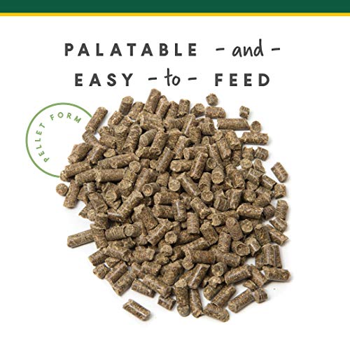 Corta-Flx U-Gard Pellets |All Natural Equine Digestive Supplement to Maintain Gastric Health | Helps Prevent Ulcer Formation | 10 LB