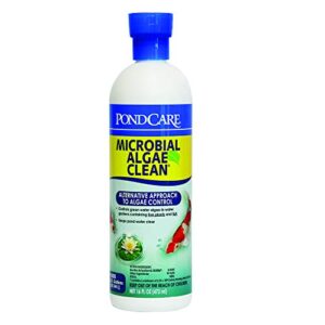 api pondcare 269b microbial algae clean, 16 oz. bottle