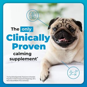 VETRISCIENCE Composure Calming Treats for Dogs Dealing with Anxiety, Separation Stress, Noise, Thunder and Barking - Yummy Flavored Chews Pets Love