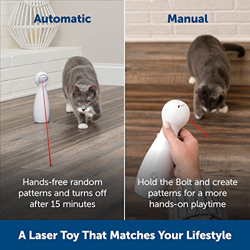 PetSafe Bolt - Automatic Cat Laser Toy - Interactive - Relieves Anxiety & Boredom - Bug-Like Laser Pattern Keeps Them Entertained - Hands-Free Play - Auto Shut Off Prevents Overstimulation White Small