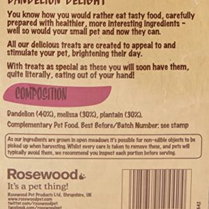 Rosewood Pet 1 Pouch Dandelion Delight Food For Small Animals, 100G