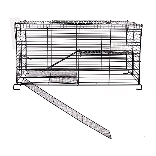 Ware Manufacturing Chew Proof High Rise Pet Cage for Small Pets