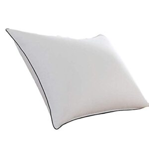 pacific coast double down surround pillow set (2 standard pillows)