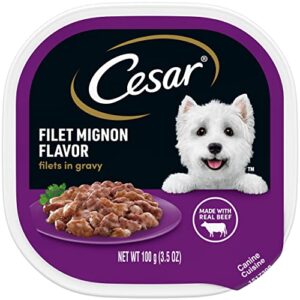 cesar adult soft wet dog food filets in gravy filet mignon flavor, (24) 3.5 oz. trays