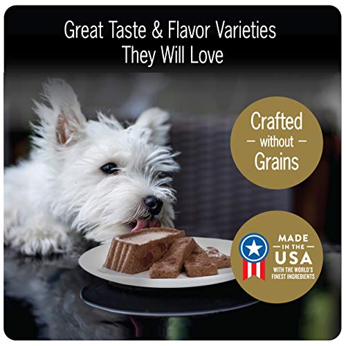 CESAR Adult Soft Wet Dog Food Filets in Gravy Filet Mignon Flavor, (24) 3.5 oz. Trays