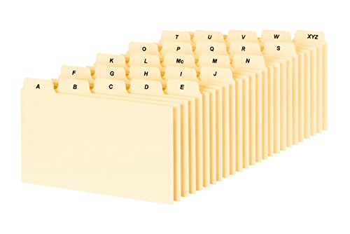 Oxford Durable Index Card Guide (B5325)