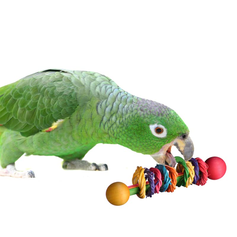 Super Bird Creations SB536 Vine Ring Rattle Bird Foot Toy, Medium/Large Bird Size, 5.5" x 1.5"