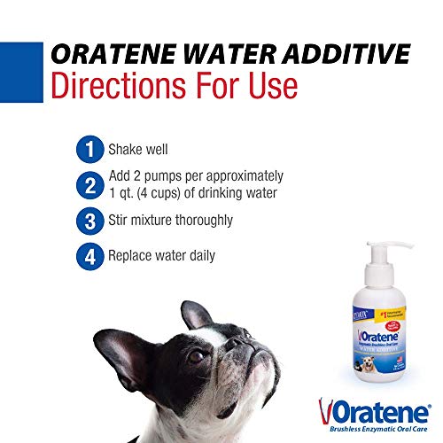 Pet King Brands Zymox Oratene Enzymatic Brushless Oral Care Water Additive, 4oz