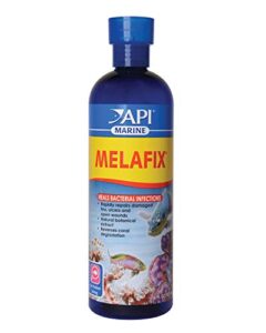 api marine melafix saltwater fish and coral bacterial infection remedy 16-ounce bottle (311d)