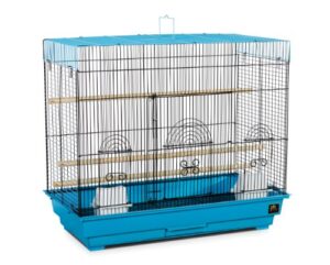 prevue hendryx flight cage, blue and black
