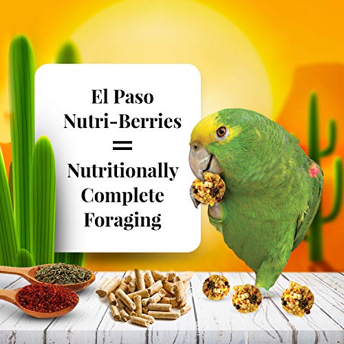 LAFEBER'S El Paso Nutri-Berries Pet Bird Food, Made with Non-GMO and Human-Grade Ingredients, for Parrots, 3 lb