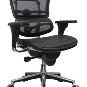 Eurotech Seating Ergohuman Mid Back Mesh Swivel Chair, Black