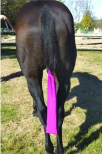 ers centaur lycra tail bag - color:black size:one