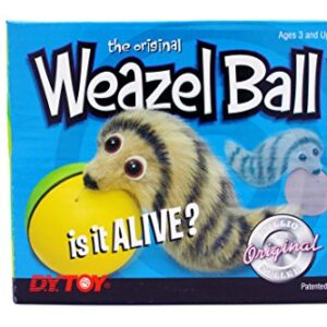 Weazel Ball Motorized Ball Pet Toy