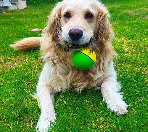 Weazel Ball Motorized Ball Pet Toy