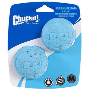 chuckit! medium rebounce ball 2.5", 2 pack, blues & purples (20320)