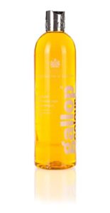 carr & day & martin gallop chestnut/palomino color enhancing shampoo 500ml n/a n/a