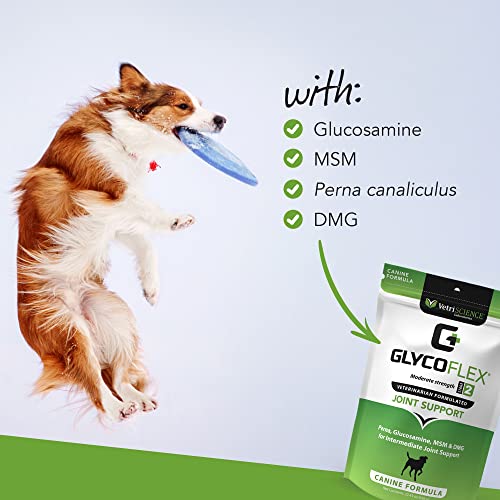 VetriScience Glycoflex 2 Hip and Joint Supplement for Working and Active Dog Breeds, Chicken, 120 Chews - Joint and Mobility Support for Competitive and Maturing Dogs