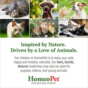 HomeoPet Feline Anxiety Relief, Stress and Anxiety Support for Cats, 15 Milliliters