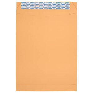 mead press-it seal-it envelopes, 10 x 13 inches, office pack 20 count (76088)