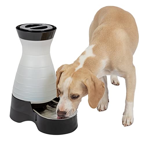 PetSafe Healthy Pet Water Station- Medium, 1 gal Capacity- Gravity Cat & Dog Waterer- Removable Stainless Steel Bowl Resists Corrosion & Stands Up to Frequent Use- Easy to Fill- Filter Compatible