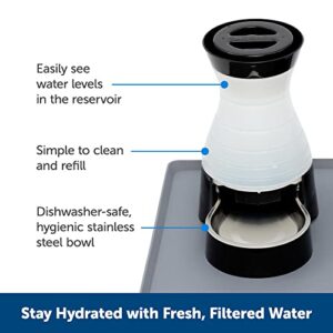 PetSafe Healthy Pet Water Station- Medium, 1 gal Capacity- Gravity Cat & Dog Waterer- Removable Stainless Steel Bowl Resists Corrosion & Stands Up to Frequent Use- Easy to Fill- Filter Compatible