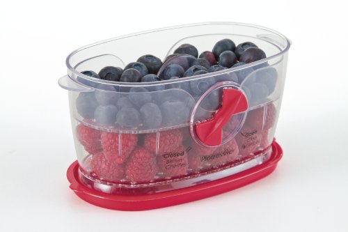 Prepworks by Progressive Berry Keeper,Red