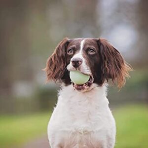 Chuckit! Fetch Medley Ball Set Dog Toys, Medium (2.5 Inch) 3 Pack