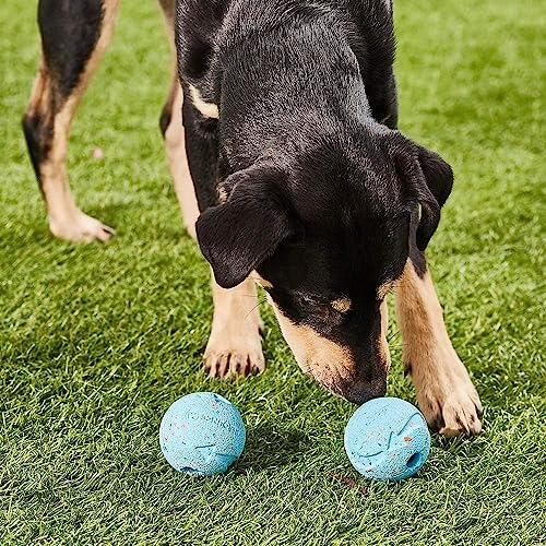 Chuckit! Fetch Medley Ball Set Dog Toys, Medium (2.5 Inch) 3 Pack