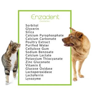 Vetoquinol Enzadent Enzymatic Toothpaste for Cats & Dogs – 3.2 oz, Poultry Flavor – Triple Enzyme Formula for Healthy Teeth & Gums – Oral Dental Care: Removes Plaque, Polishes Teeth & Freshens Breath