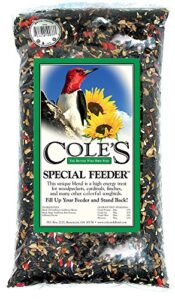 cole's sf20 special feeder bird seed, 20-pound