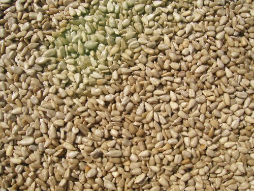 Cole's SM10 Sunflower Meats Bird Seed, 10-Pound