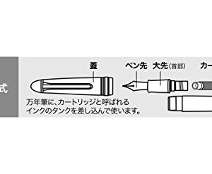 Sailor Fude De Mannen - Stroke Style Calligraphy Fountain Pen - Bamboo Green - Nib Angle 55 Degrees (11-0127-767)