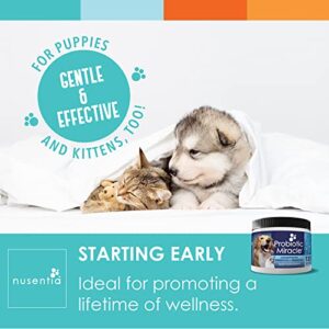 Probiotics for Cats & Dogs - (120 Scoops) Probiotic Miracle - Advanced Formula to Stop Diarrhea, Loose Stool, and Yeast.