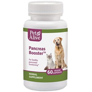 PetAlive Pancreas Booster - All Natural Herbal Supplement for Pancreatic Health and Digestive Functioning in Cats and Dogs - Supports Healthy Insulin Production - 60 Veggie Caps