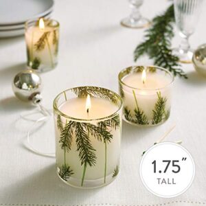 Thymes Votive Candle - Small Scented Candles for Home Fragrance - Frasier Fir - 2 oz (3 Pack)