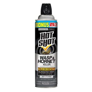 hot shot wasp & hornet killer spray, eliminates the nest, sprays up tp 27 feet, 17.5 fl ounce