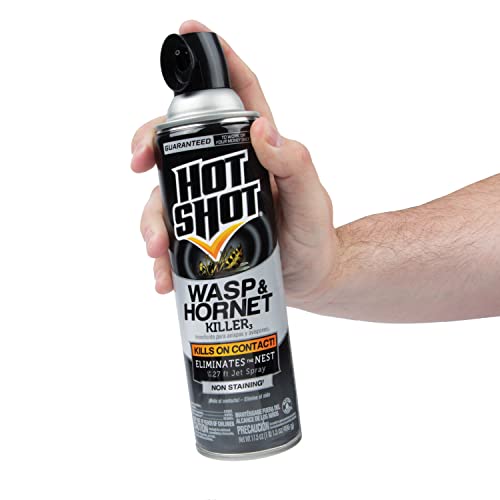 Hot Shot Wasp & Hornet Killer Spray, Eliminates The Nest, Sprays Up Tp 27 Feet, 17.5 fl Ounce