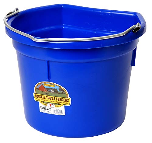 Little Giant® Flat Back Plastic Animal Feed Bucket | Animal Feed Bucket with Metal Handle | Horse Feed & Water Bucket | 22 Quarts | Blue